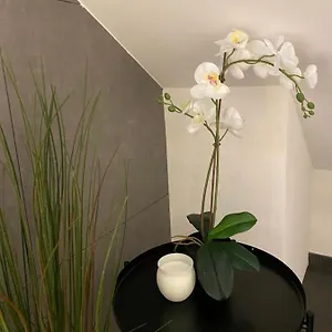 Appartement Eine Schoene An Der Birs, Bâle