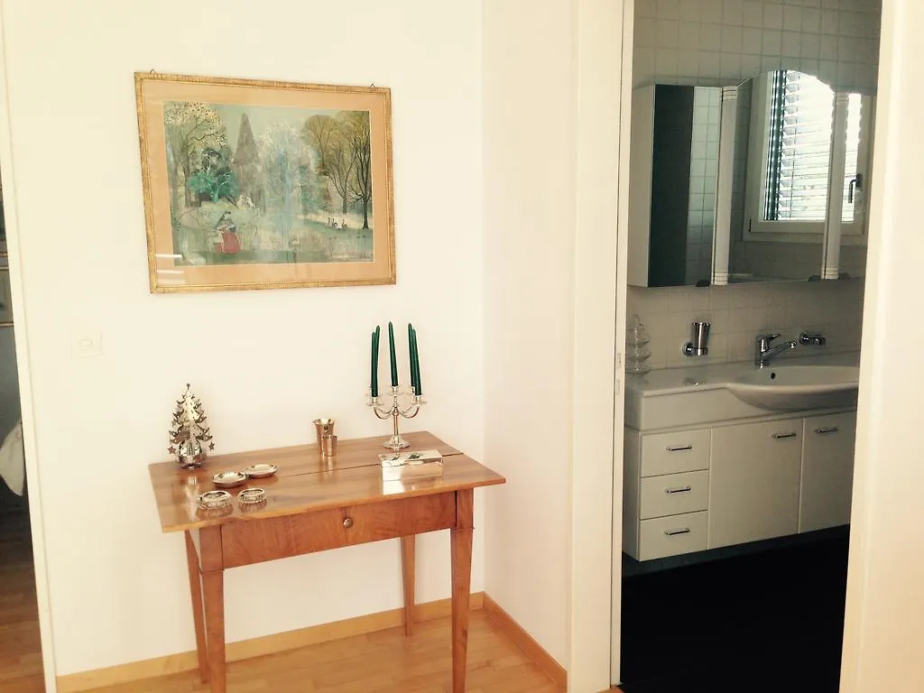 Avliving City Flat Basel With Roof Garden 0*,  Switzerland