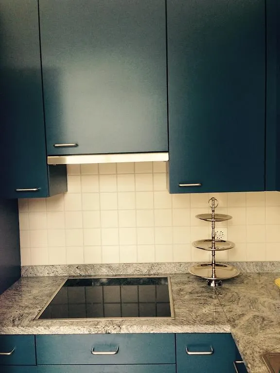 Apartment Avliving City Flat Basel With Roof Garden Switzerland